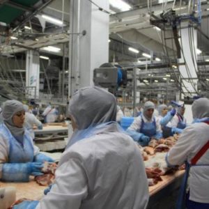 algas_szaszlyki_photo_2