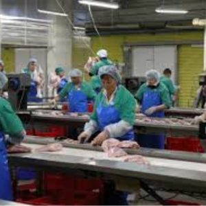 algas_szaszlyki_photo_3