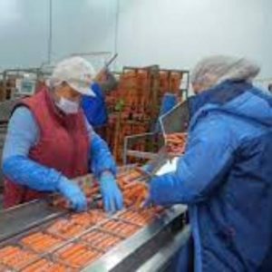 algas_szaszlyki_photo_4